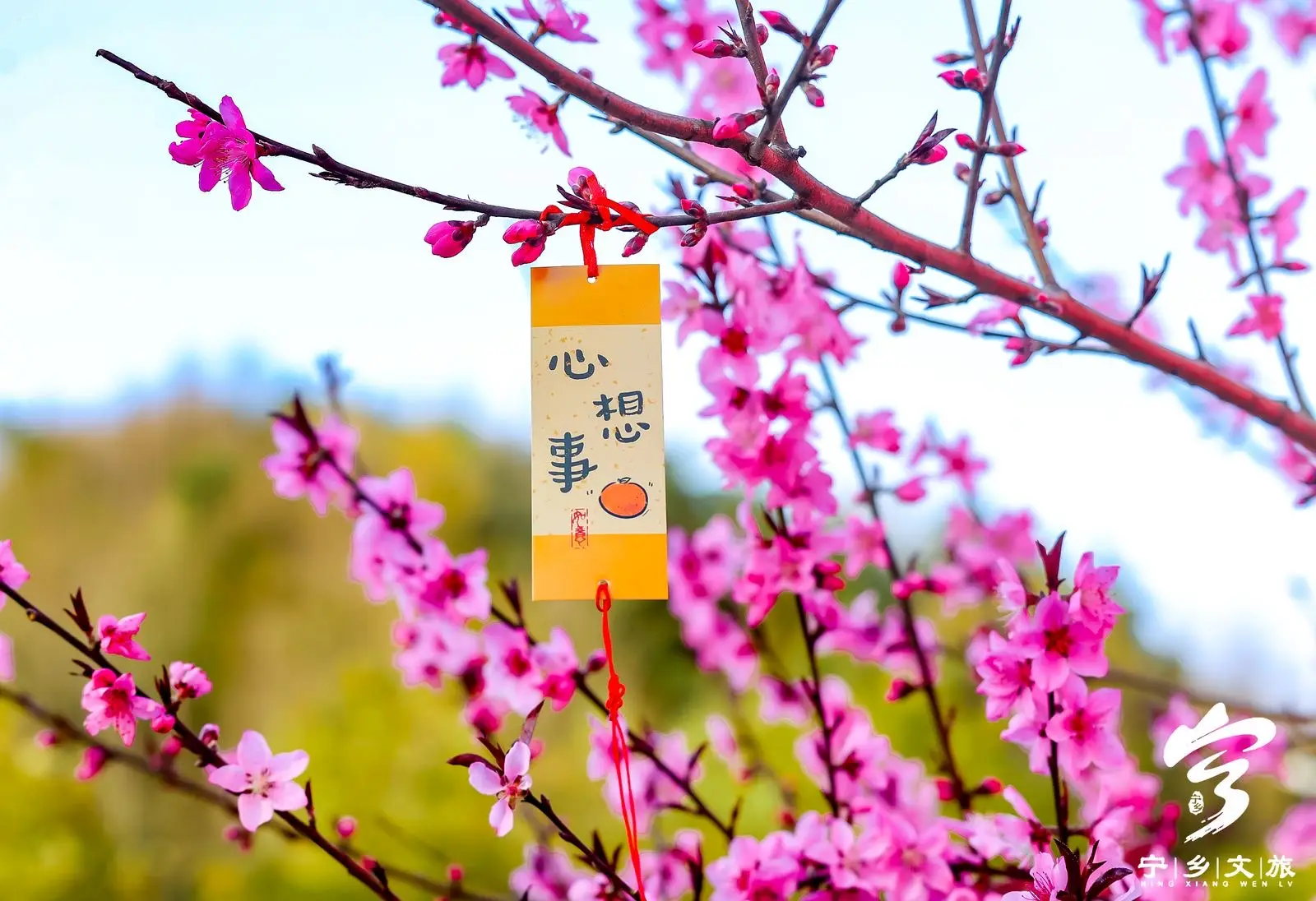 雾之本境祁连遥 桃花续缘_雾之本境祁连遥 桃花续缘_雾之本境祁连遥 桃花续缘