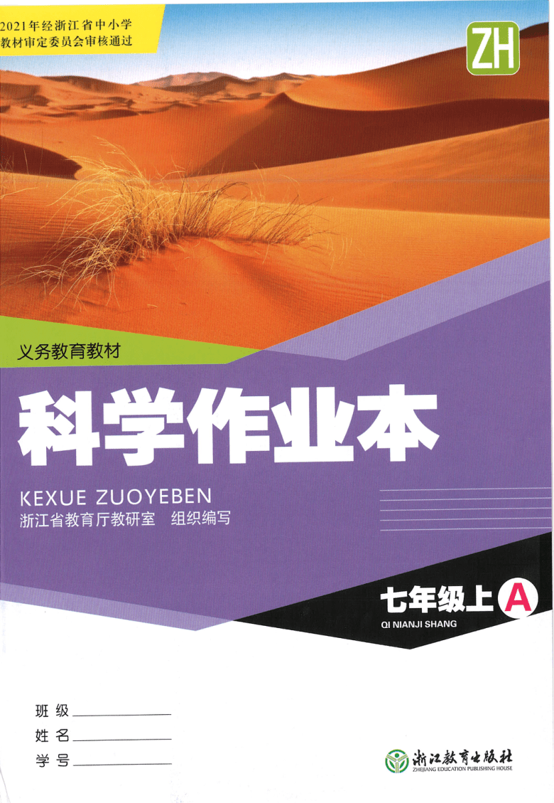 七年级下同步解析答案_七年级同步解析与测评答案_7年级同步解析与测评