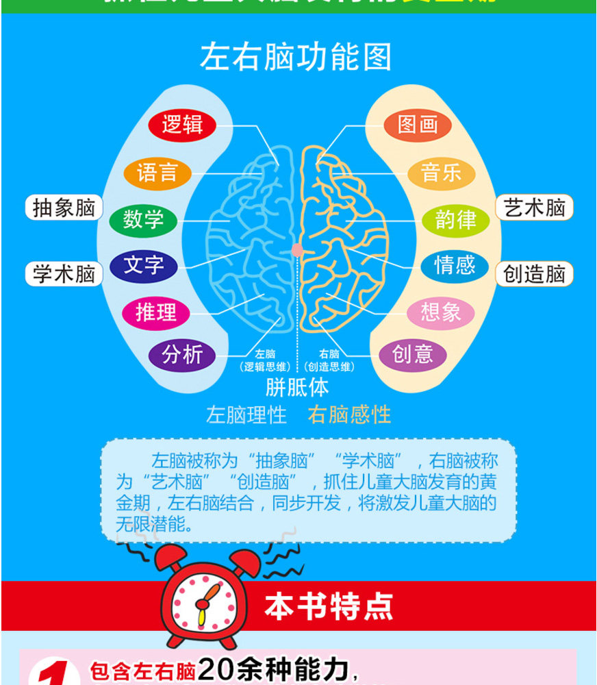 左右脑开发的游戏_脑开发左右游戏的区别_左右脑开发游戏