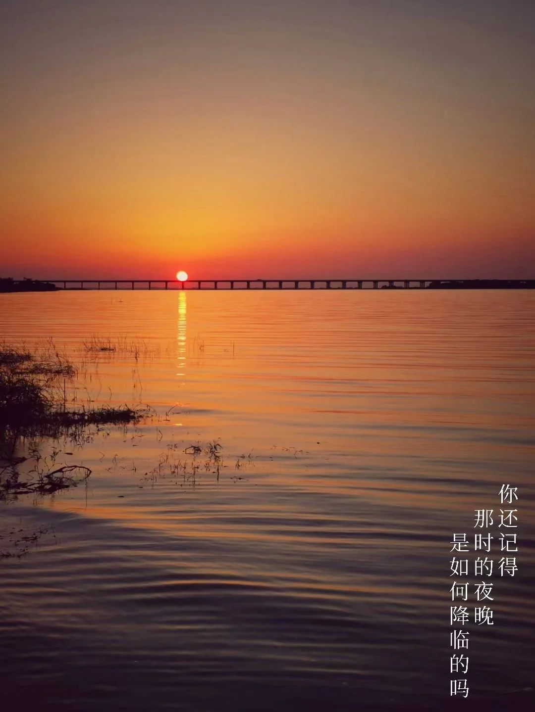 万绿园有海滩吗_海滩绿植_海滩绿化