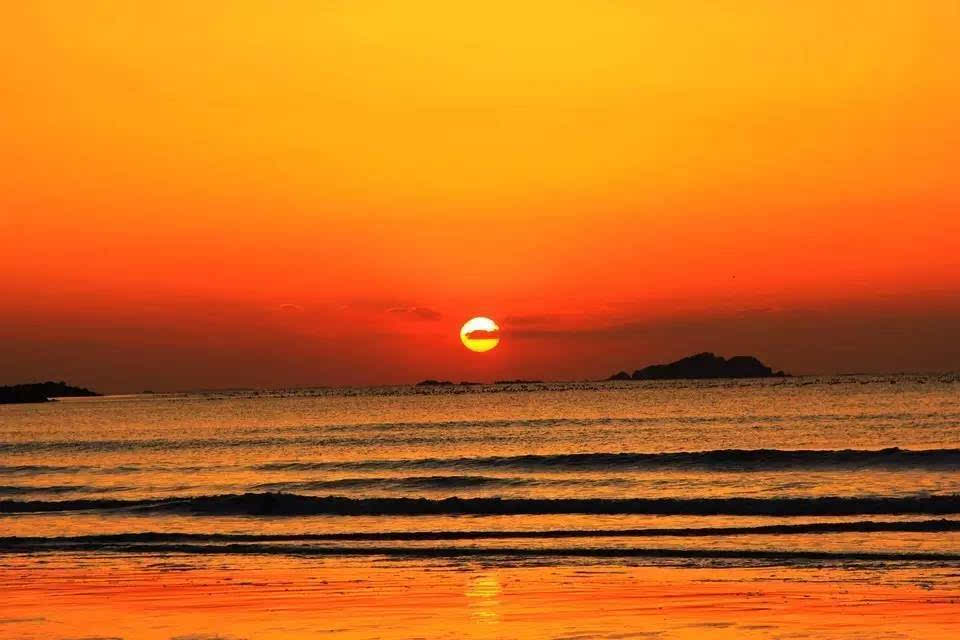 海滩绿化_海滩绿植_万绿园有海滩吗