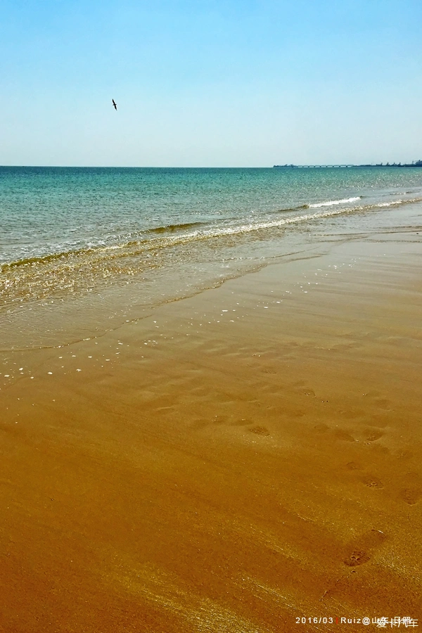 海滩绿植_海滩绿化_万绿园有海滩吗