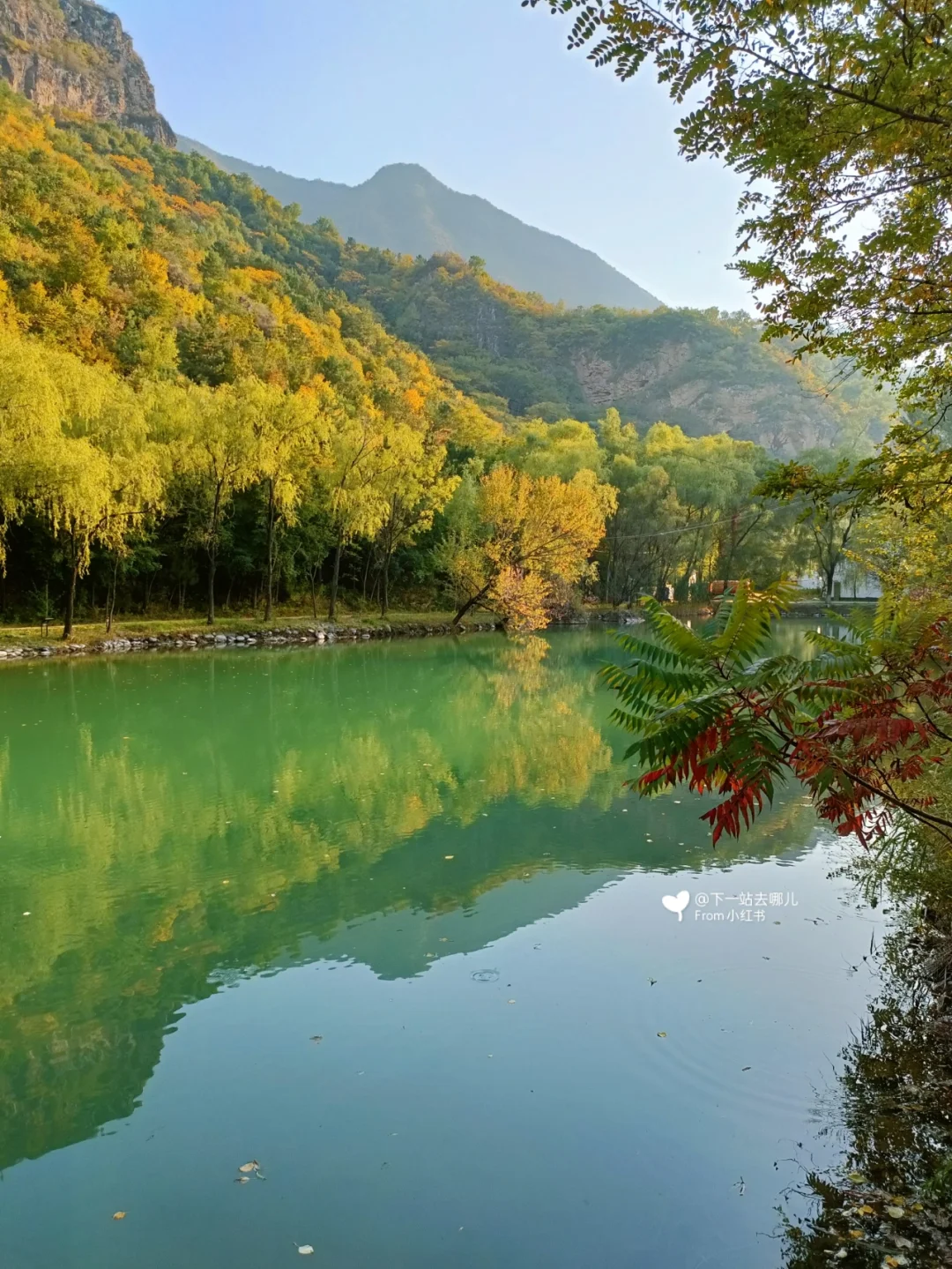 魔力宝贝去砍村路线图_魔力宝贝砍村怎么去_魔力宝贝砍村打卡处