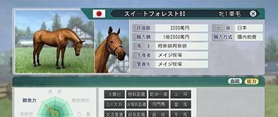 赛马大亨8建设攻略,打造你的赛马帝国攻略