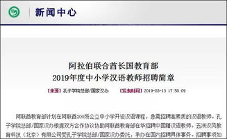 飞机中文包代码,轻松实现应用汉化