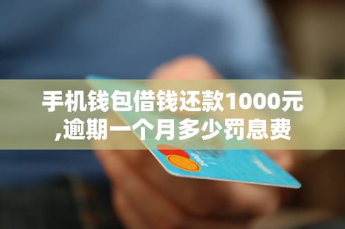 手机钱包借钱多少利息,了解你的借款成本