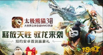 太极熊猫,游戏简介