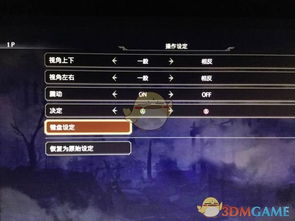 无双大蛇2对战模式手柄和键盘,手柄与键盘的较量