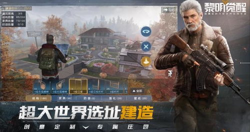 黎明觉醒无尽模式,黎明觉醒无尽模式深度解析——挑战极限的生存之旅