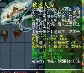 龙宫花费好多,花费背后的价值与回报