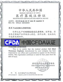 莱莎装备副词条效果 支援者之证效果,莱莎装备副词条效果解析——支援者之证效果详解