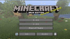 我的世界1.16.5怎么玩