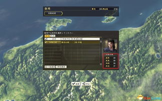 玩信长之野望14屏幕闪