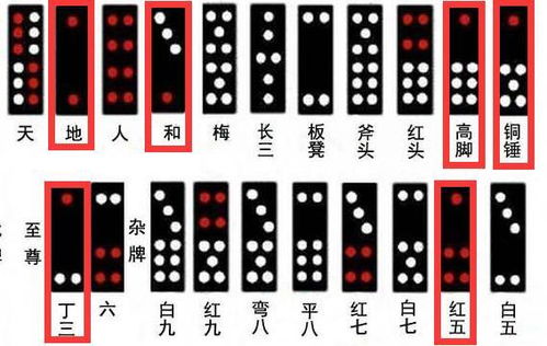 牌九p9cc,古老智慧与现代娱乐的完美结合