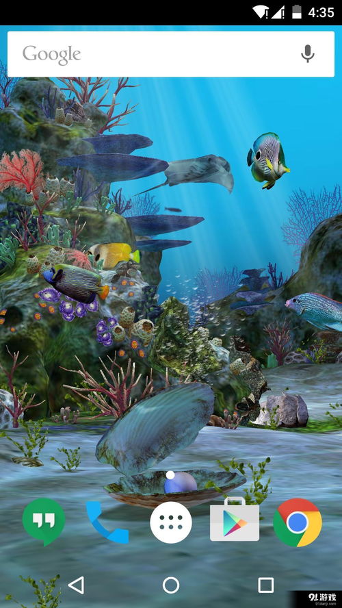 水族馆动态壁纸