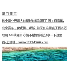 锦州视频游戏