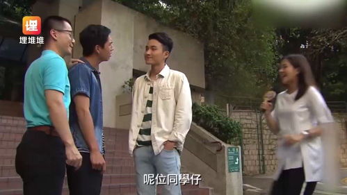 埋埋堆