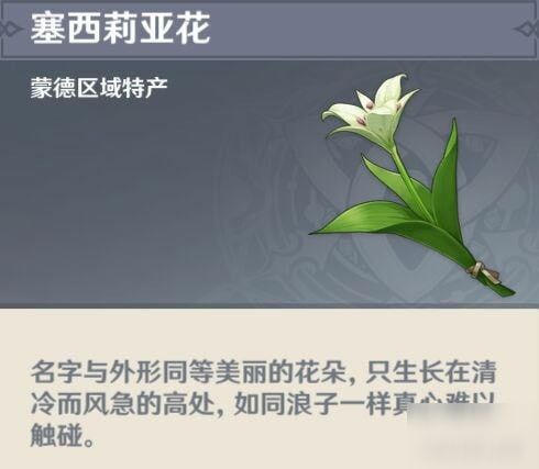 塞西莉亚花