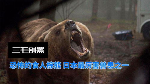 恐怖熊