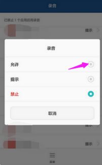 重置安卓系统语音,唤醒安卓语音新体验