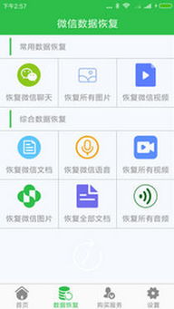 安卓系统付费模式,探索开放生态下的盈利之道