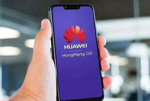 鸿蒙系统手机换安卓系统,系统切换攻略与注意事项