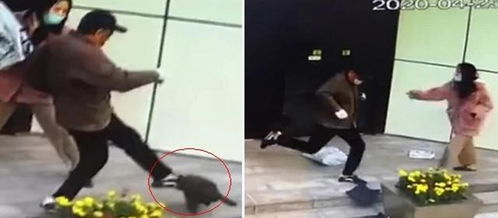 一脚踹
