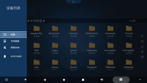 安卓系统装nas,实现高效文件共享与数据管理
