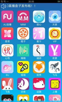 安卓盒子直播系统,打造个性化家庭娱乐新体验