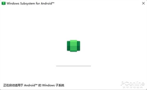 运行安卓子系统,运行环境与功能概览