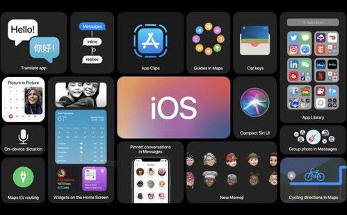 ios系统和安卓系统的特点,系统特性对比解析