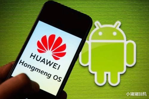 鸿蒙系统怎么转安卓系统,操作指南与注意事项