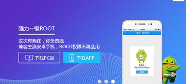 安卓系统root好处,Root权限带来的十大优势解析