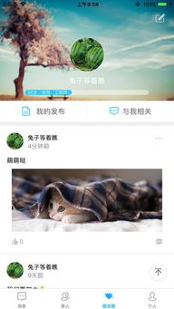 寻聊安卓系统,寻聊科技与智能生活的完美融合