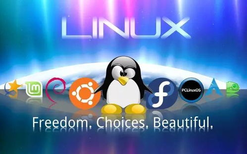 linux系统多开安卓,Linux系统下多开安卓环境的实践指南