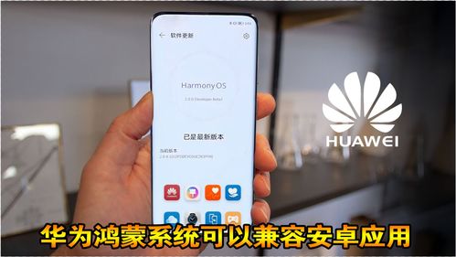 华为系统安卓应用,探索创新科技与个性化体验的完美融合