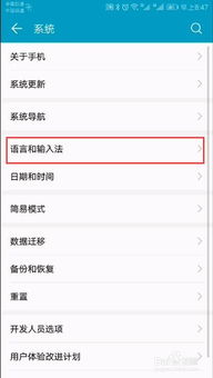 安卓调整系统语言,解决常见问题