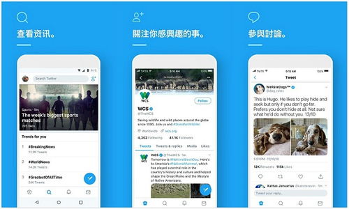 安卓系统下载twitter,轻松下载并使用Twitter的完整指南