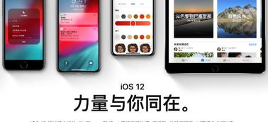 安卓系统和ios系统的辨别,全面对比解析