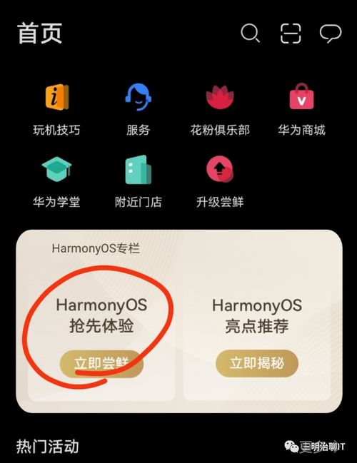 华为安卓系统怎么换鸿蒙,体验全新智能生态