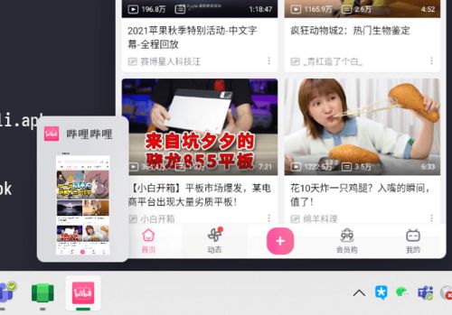 安卓系统长什么样,界面设计与功能概览